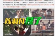 胜仔二爷爆料事件视频在线观看,揭秘事件背后真相