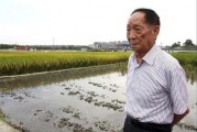 网友爆料袁隆平视频播放,网友热议农业科技发展