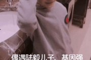 陆毅爆料鲍蕾视频,揭秘明星夫妻背后的故事