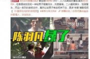 衡东二中爆料事件视频最新,真相与反思并行