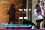 娱乐圈爆料陈思诚视频,娱乐圈背后的真相与争议